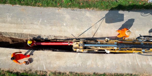 Accordo Cuoio 02 Immagine Accordo Cuoio 02